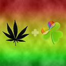 Rasta Theme for GO Launcher-APK