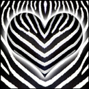 Zebra Live Wallpaper APK