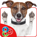 Cheerful Dog GO Launcher Theme APK