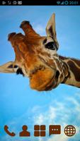 Giraffe Africa Launcher Theme capture d'écran 1