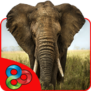 Elephant Theme for GO Launcher APK
