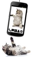 Little Kitty GO Launcher Theme Affiche