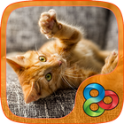 Rufous Kitty GO Launcher Theme آئیکن