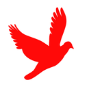 AstrologerChennai APK