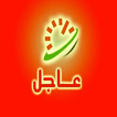 أخبار عاجلة