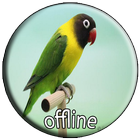 Masteran Love Bird Mp3 ikona