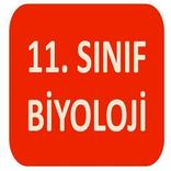 11.SINIF BİYOLOJİ