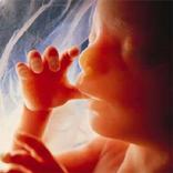 BİYOLOJİ ALAN BİLGİSİ (SİSTEMLER)