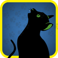Cat Rush
