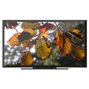 Autumn Garden on Chromecast APK