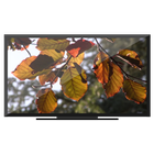 Autumn Garden on Chromecast icône