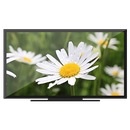 Flowers 🌻 on Chromecast APK
