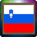 Slovenija TV