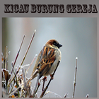 Kicau Burung Gereja ícone