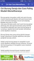 Kicau Burung Gereja imagem de tela 3
