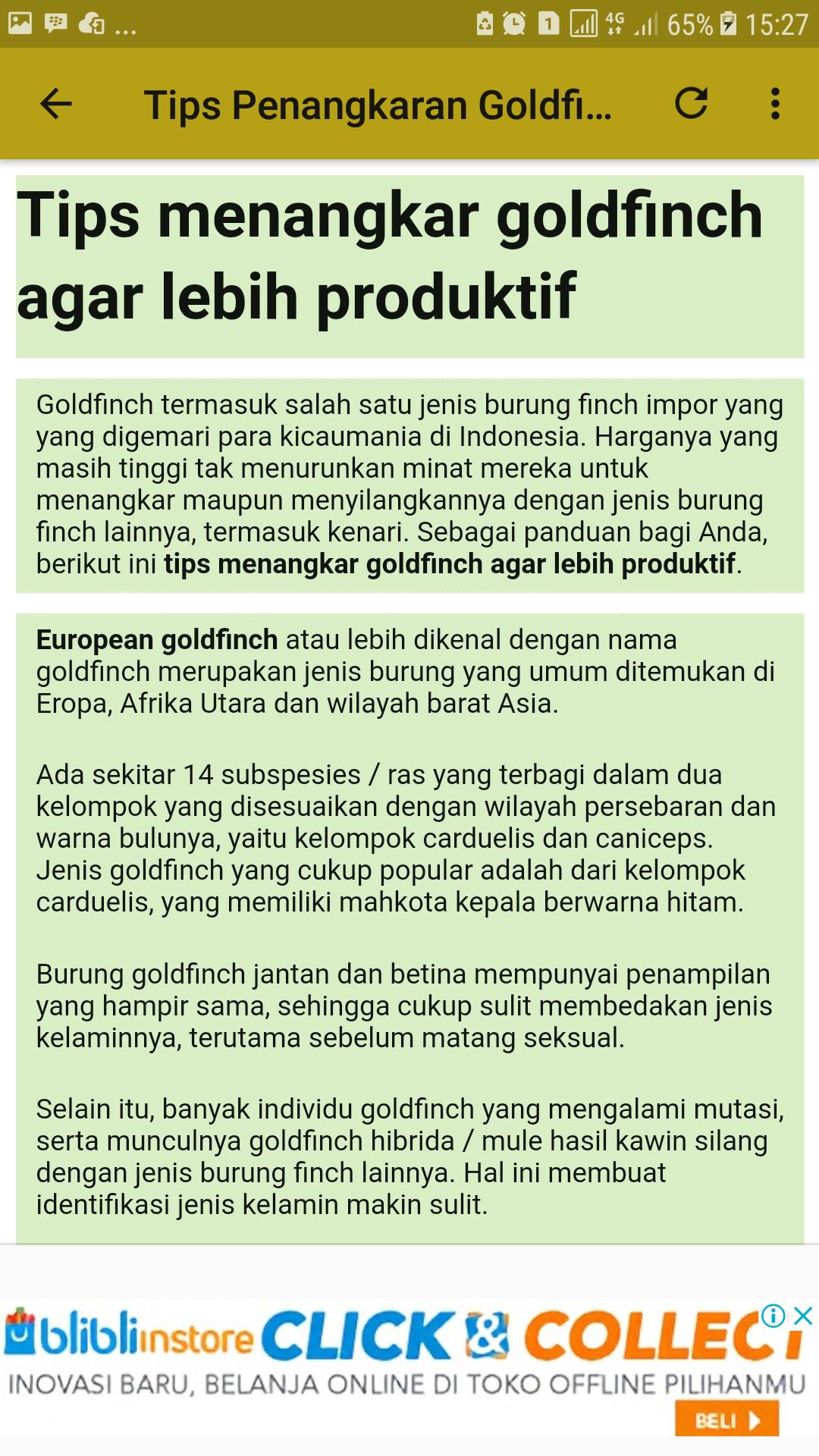 Kicau Goldfinch Gacor For Android Apk Download