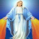 THE ANGELUS APK