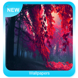 Wallpapers icon