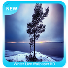 Winter Live Wallpaper HD icono