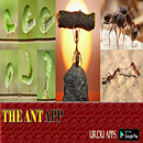 Ant life APK