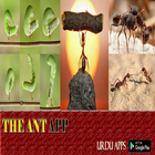 Ant life icon