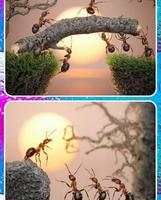 Ant life capture d'écran 3