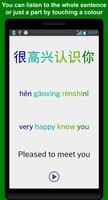 Learn Chinese Mandarin Phrases capture d'écran 3