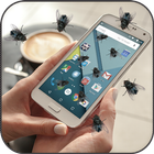 Flies Live Wallpaper icono