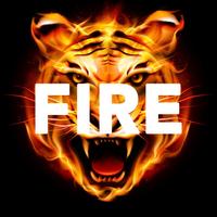 Fire Effect Name Art poster