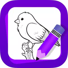 How to Draw Birds アプリダウンロード