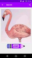 برنامه‌نما How to Draw Birds عکس از صفحه