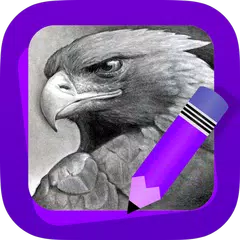 Learn How to Draw Eagles アプリダウンロード