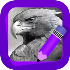 Learn How to Draw Eagles