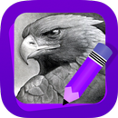 Learn How to Draw Eagles APK