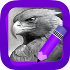 Learn How to Draw Eagles icon