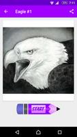 Learn How to Draw Eagles captura de pantalla 1