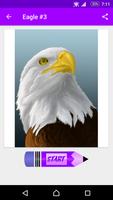 Learn How to Draw Eagles imagem de tela 2