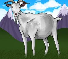 Learn How to Draw Farm Animals screenshot 3