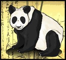 Learn How to Draw Pandas capture d'écran 2