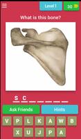 BONES Anatomy Quiz Trivia 海報