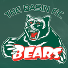 The Basin Football Club icône