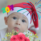 New Year 2017 Photo Stickers icono