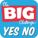 Yes No Game APK