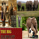 Gallery Big Elephant APK