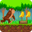 ”Jungle Monkey Adventures