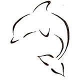 theChatpoint icône