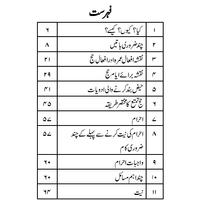 Khawateen ka Hajj tariqa скриншот 2
