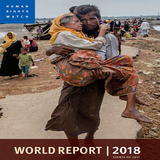 World Report 2018 icône