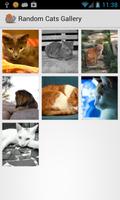 برنامه‌نما Random Cats عکس از صفحه