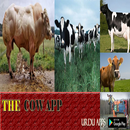 Screen Cow APK